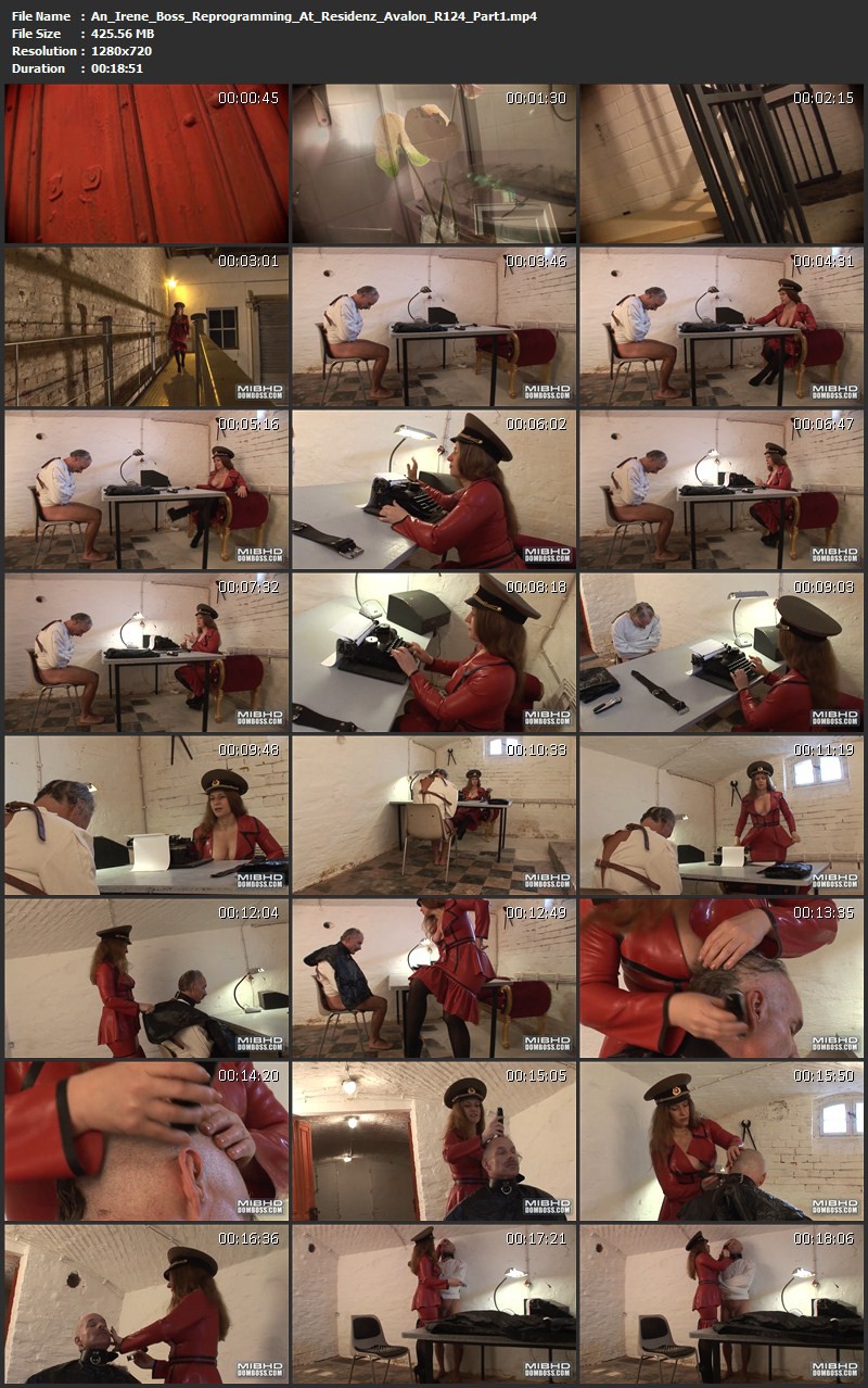 An Irene Boss - Reprogramming At Residenz Avalon (R124). Aug 22 2013. Seriousimages.com (982 Mb)