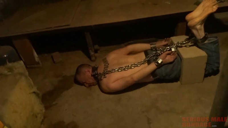 Basement Captive (R544). Nov 18 2015. Seriousmalebondage.com (1400Mb)