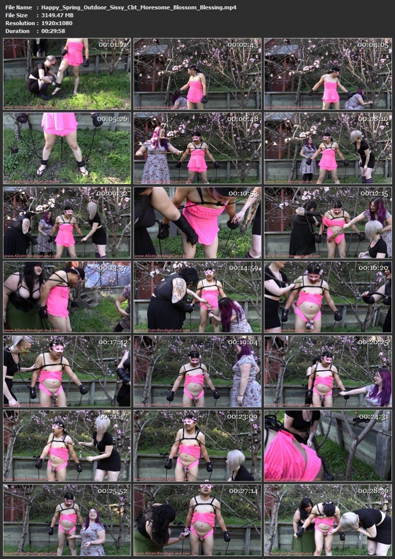 Happy Spring – Outdoor Sissy Cbt Moresome – Blossom Blessing. Feb 27 2017. AliceInBondageLand.com (3149 Mb)