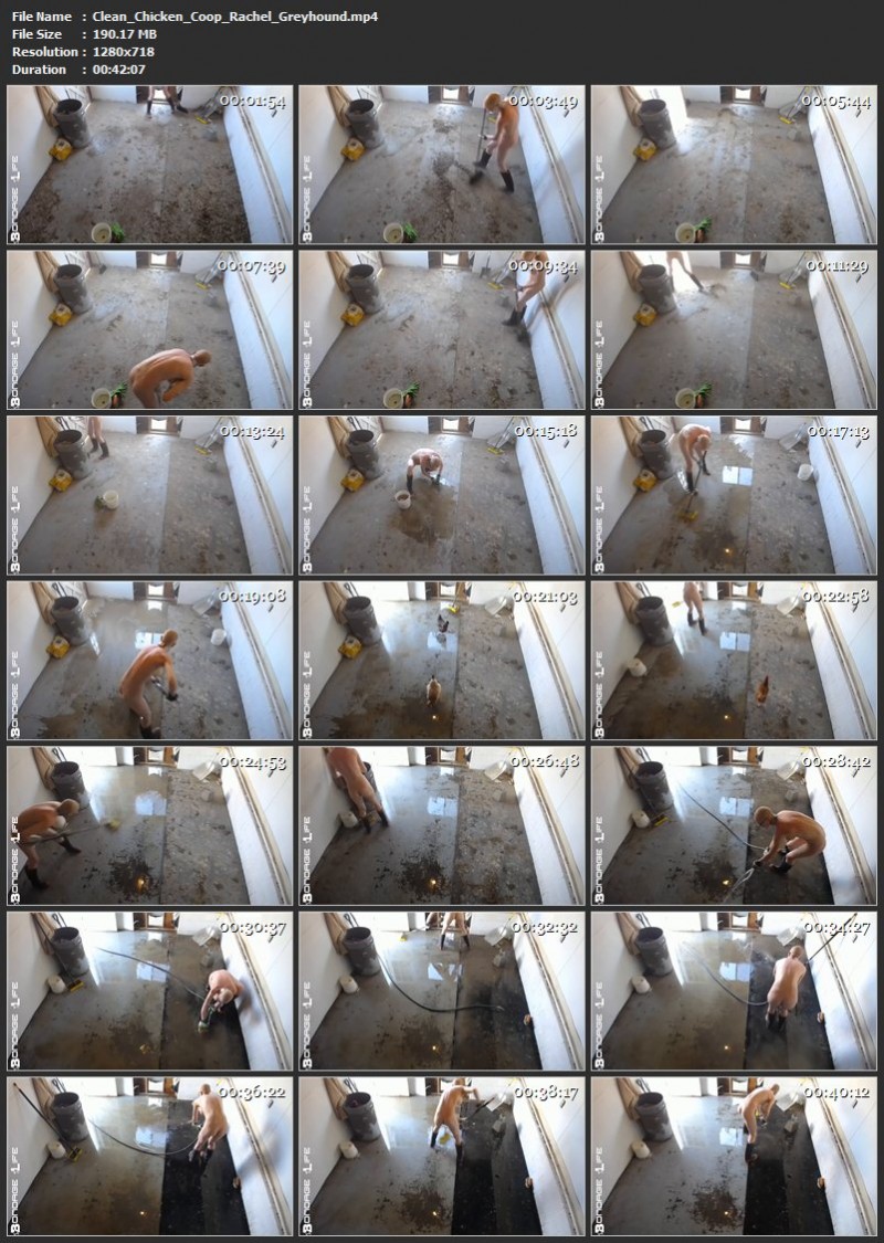 Clean Chicken Coop – Rachel Greyhound. 4/8/2019. Bondagelife.com (190 Mb)