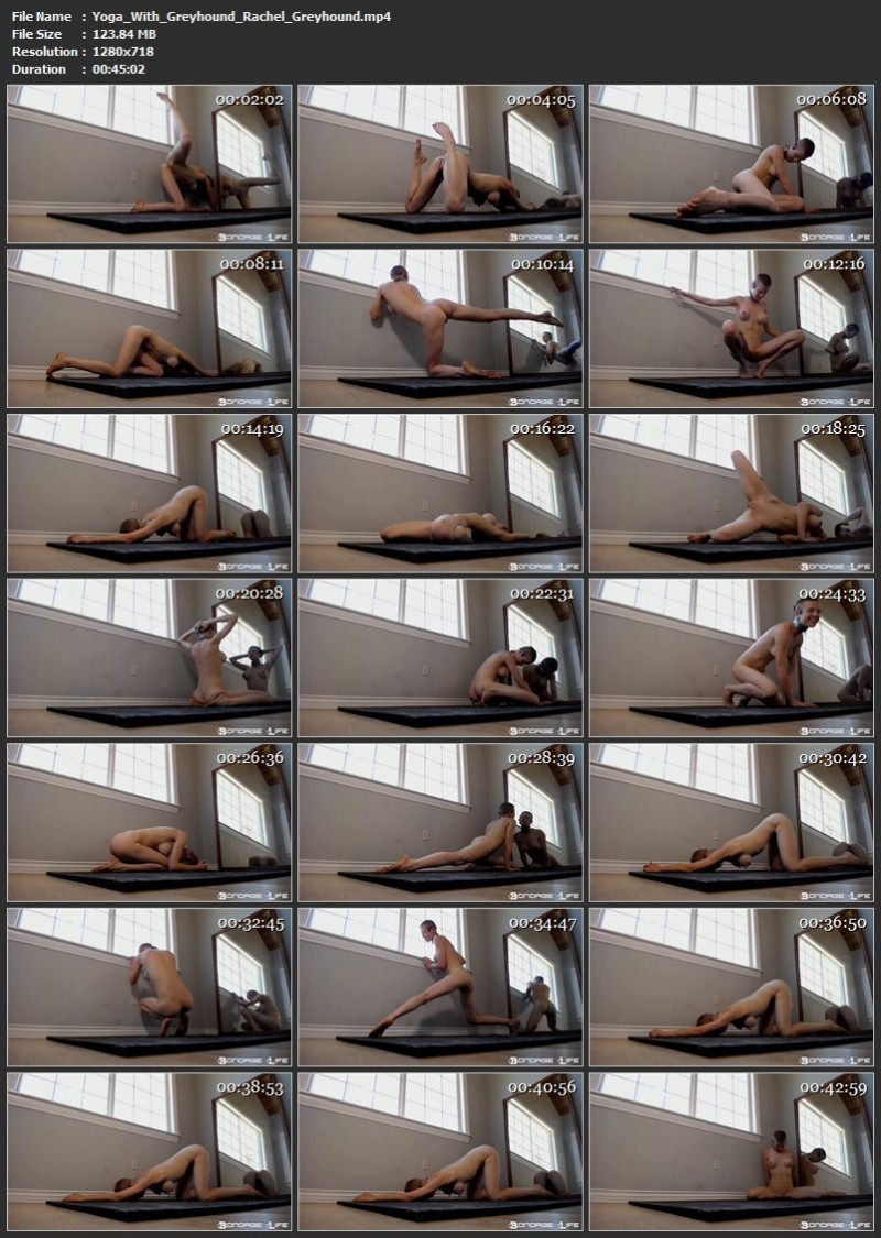 Yoga With Greyhound – Rachel Greyhound. 5/6/2019. Bondagelife.com (123 Mb)