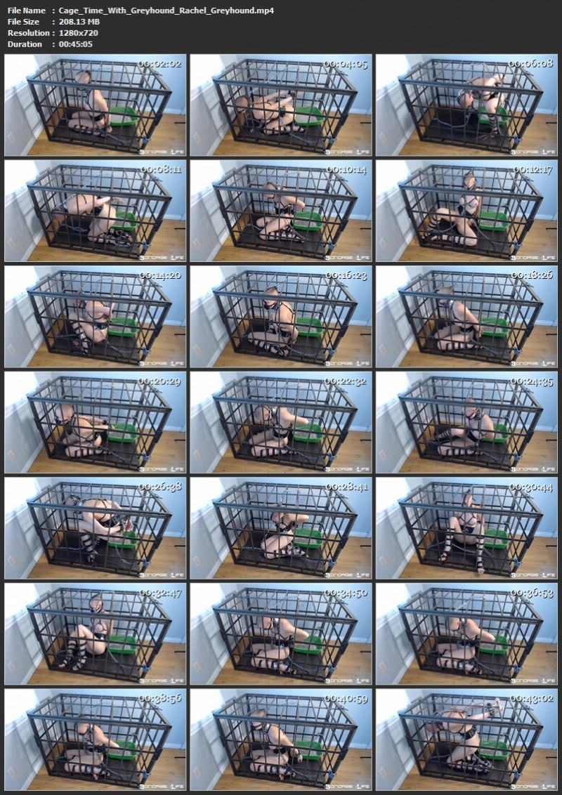 Cage Time With Greyhound - Rachel Greyhound. 8/12/2019. Bondagelife.com (208 Mb)