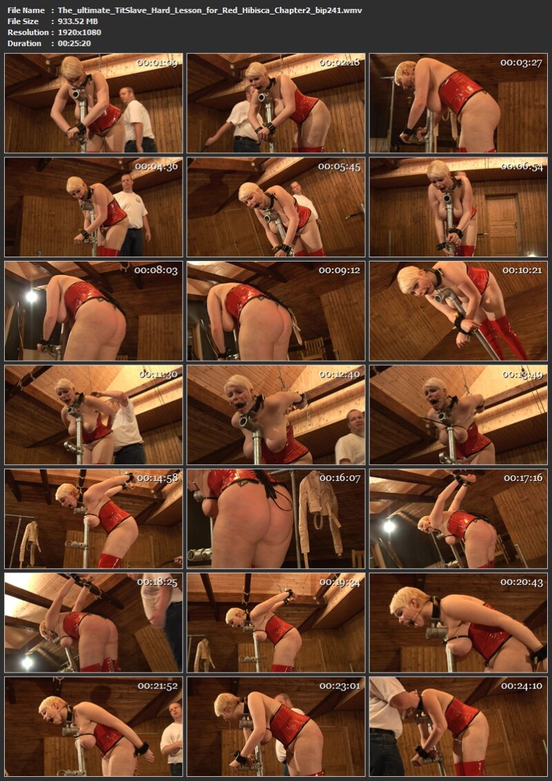 The ultimate TitSlave - Hard Lesson for Red Hibisca - Chapter 2 (bip241). Jun 12 2021. Breastsinpain.com (933 Mb)