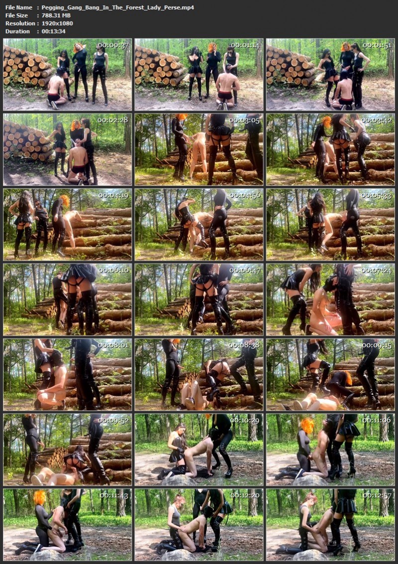 Pegging Gang Bang In The Forest - Lady Perse. ManyVids.com (788 Mb)