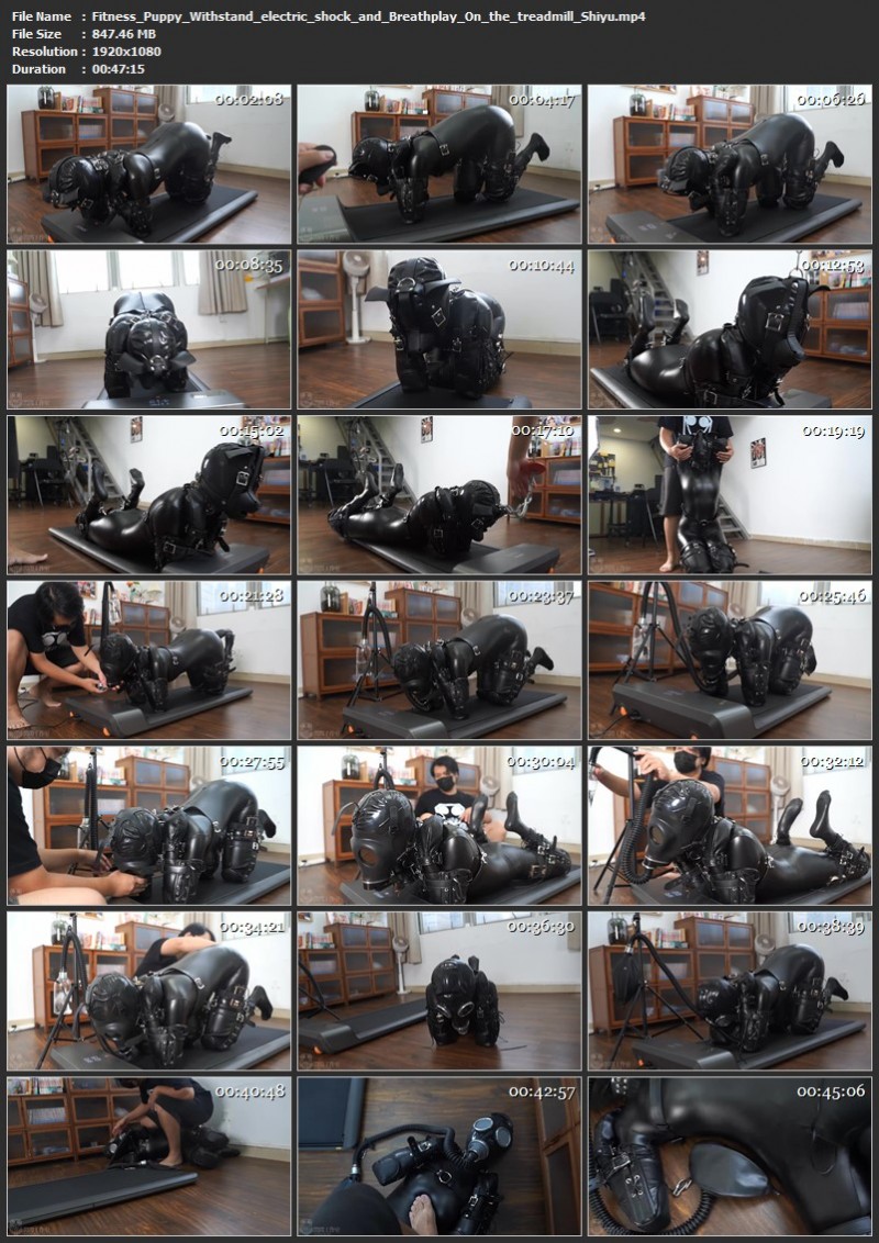 Fitness Puppy Withstand electric shock and Breathplay On the treadmill - Shiyu. Studio Bling (847 Mb)