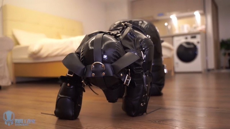 Rubber K9 Humanoid Dog. Studio Bling (639 Mb)