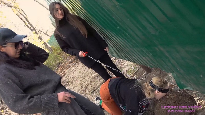 A great autumn day for a walk with your pet - JANE and SARAH. Licking Girls Feet (610 Mb)
