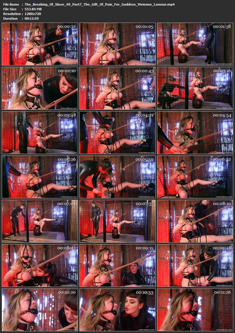 The Breaking Of Slave 49 Part 7 - The Gift Of Pain For Goddess - Vivienne Lamour (553 Mb)