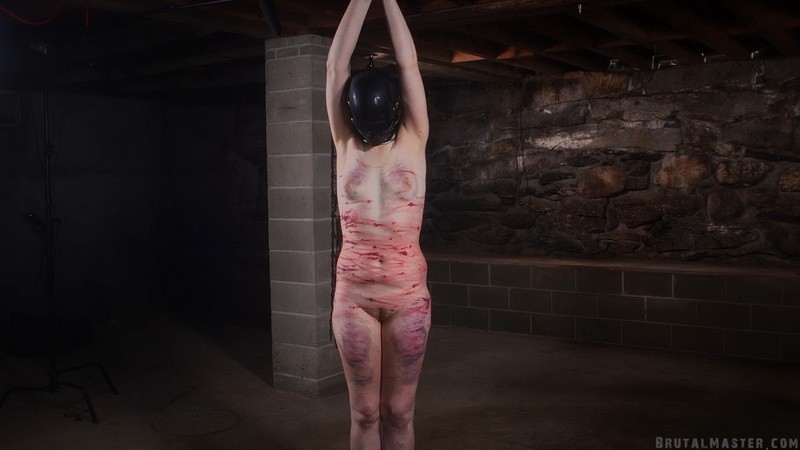 Dehumanized Whipping - Blossom. 23.11.2023. Brutalmaster.com (2737 Mb)