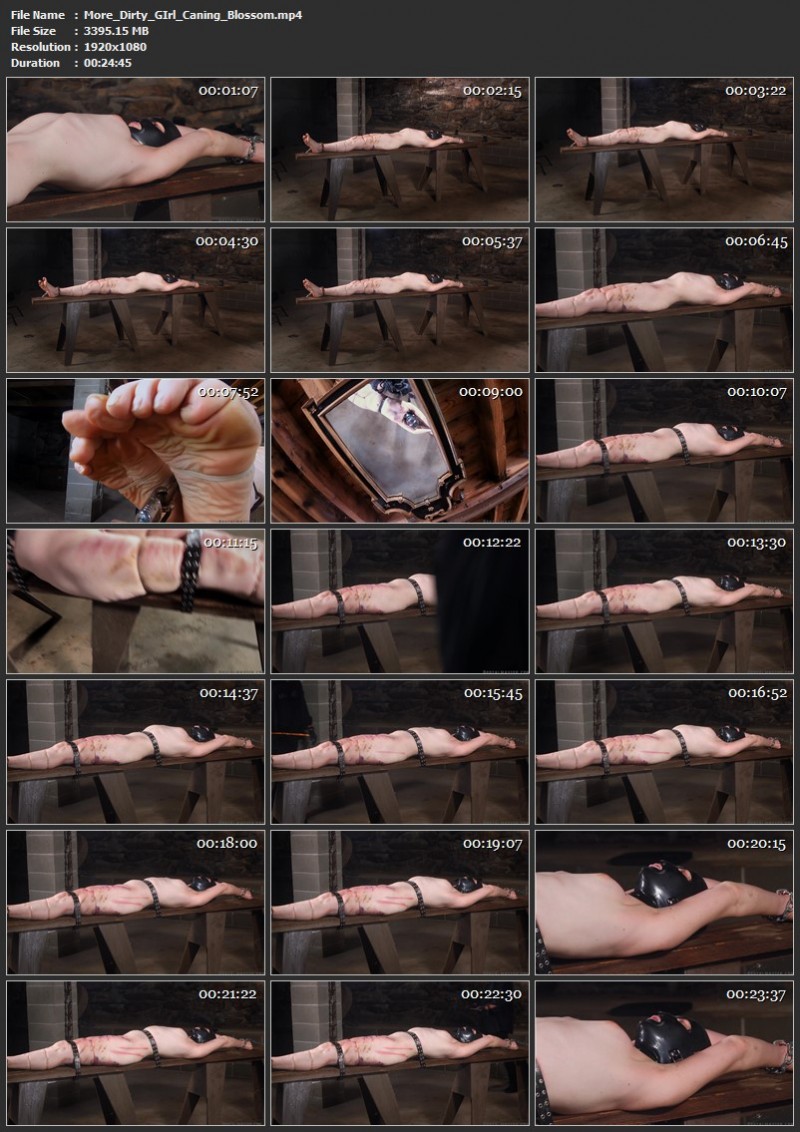 More Dirty GIrl Caning - Blossom. 11.07.2024. Brutalmaster.com (3395 Mb)