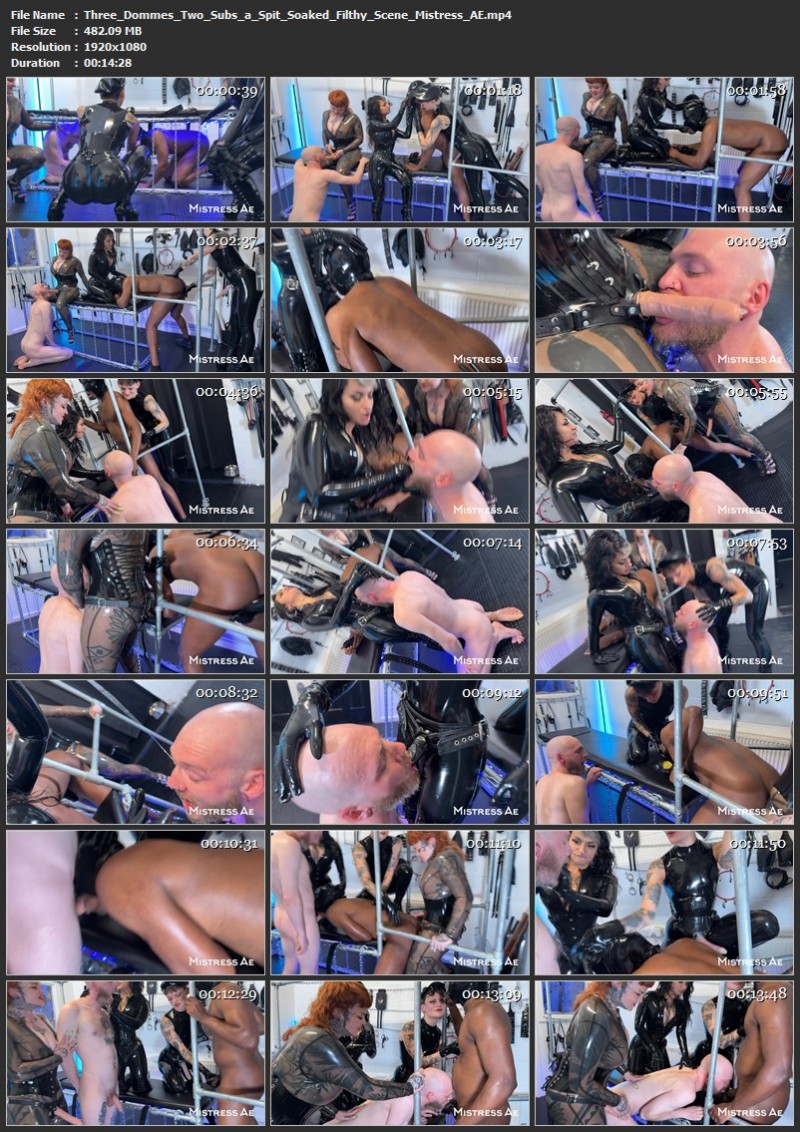 Three Dommes Two Subs a Spit-Soaked Filthy Scene - Mistress AE. 2025. Faphouse (482 Mb)