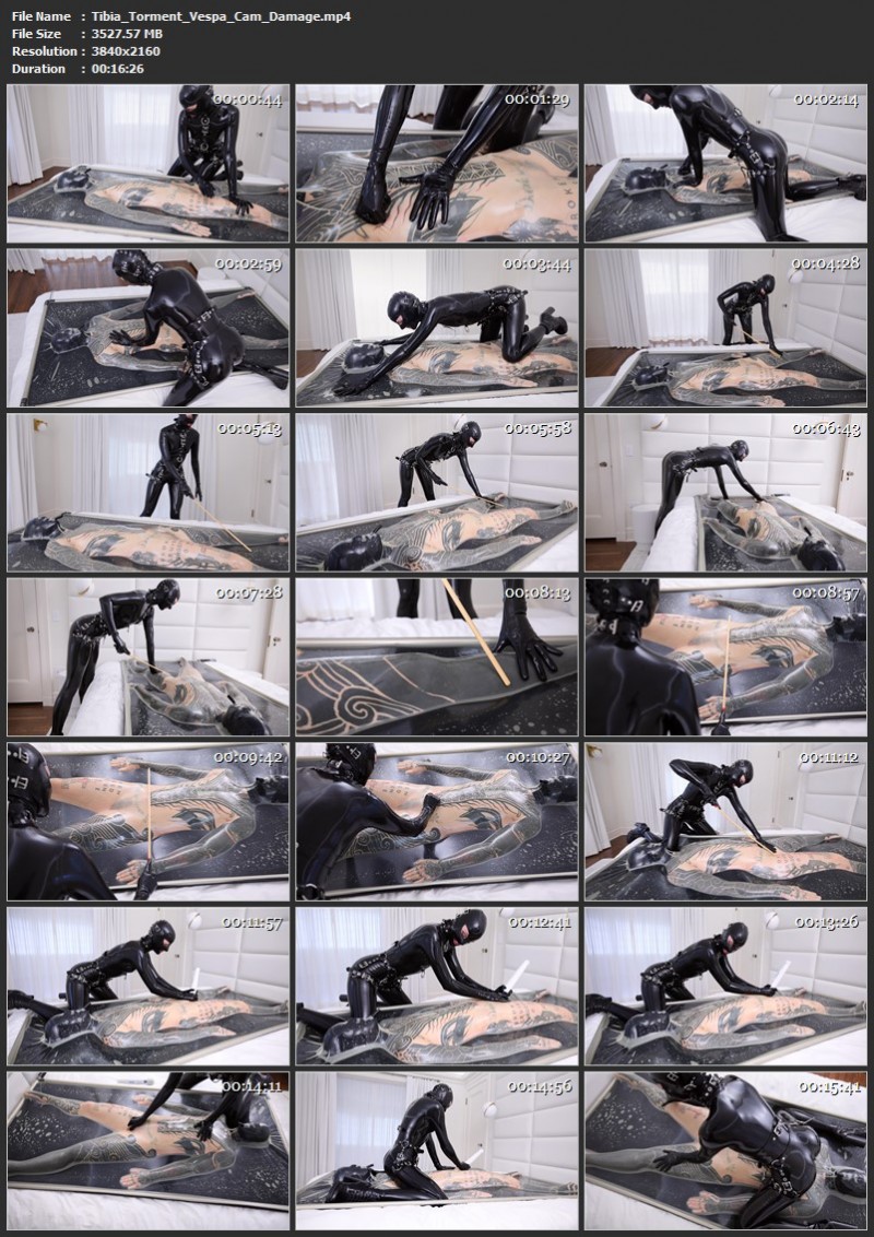 Tibia Torment - Vespa, Cam Damage. July 2025. ReflectiveDesire.com (3527 Mb)