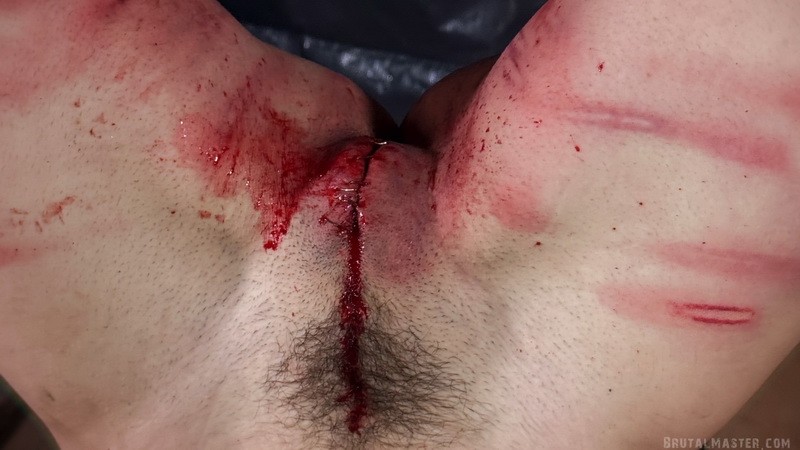 Destroy My Cunt - Worm. 17.04.2025. Brutalmaster.com (2230 Mb)