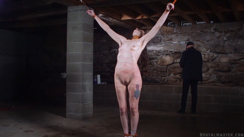 Strung up & Tortured - Dirty Chai. 26.12.2024. Brutalmaster.com (3276 Mb)