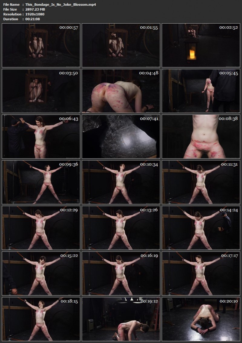 This Bondage Is No Joke - Blossom. 07.11.2024. Brutalmaster.com (2897 Mb)
