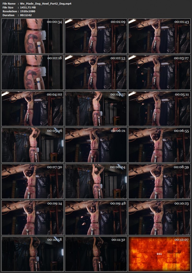 We Made Dog Howl (Part 2) - Dog. 05.06.2025. Brutalmaster.com (1451 Mb)