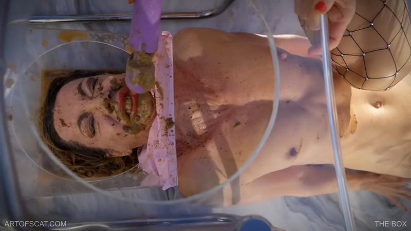 The Box - Qs, Nazryana. ArtOfScat (1038 Mb)