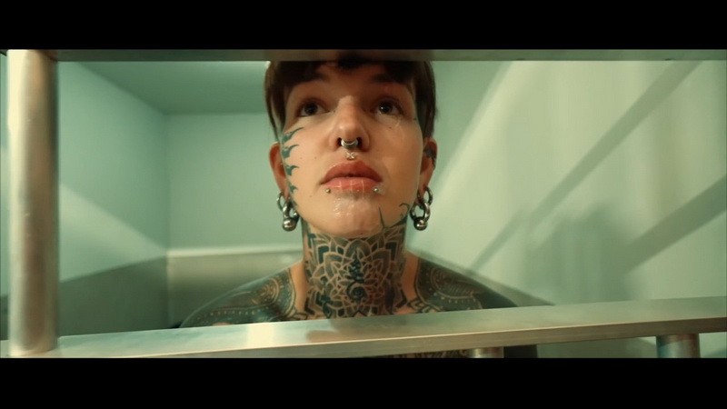 Forbidden Romance - Ivy Rose. 2025. Fancysteel (1332 Mb)