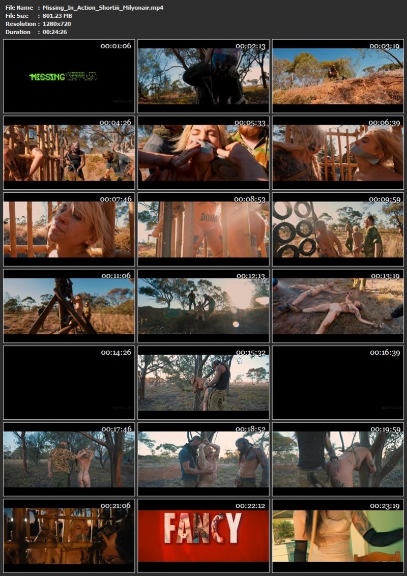 Missing In Action - Shortiii, Milyonair. Fancysteel (801 Mb)