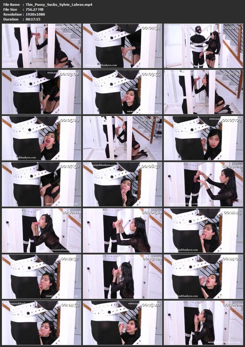 This Pussy Sucks - Sylvie Labrae. Clips4sale (756 Mb)