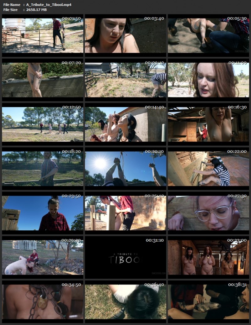 A Tribute to Tibool. 2024. FancySteel (2650 Mb)