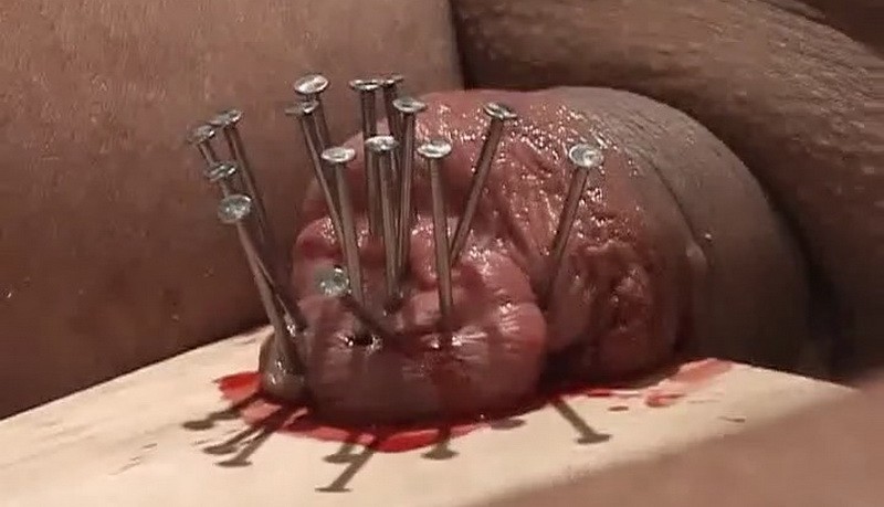 Cbt needles cock video 2. (38 Mb)