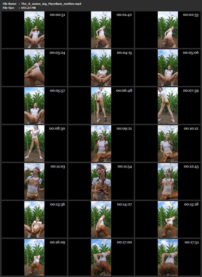 The A-maize-ing Mycelium_mother. (693 Mb)