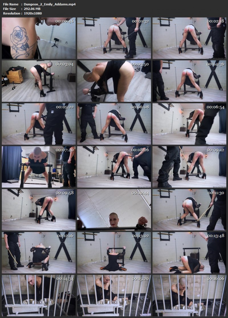 Dungeon 2 - Emily Addams. Brutalmaster (292 Mb)