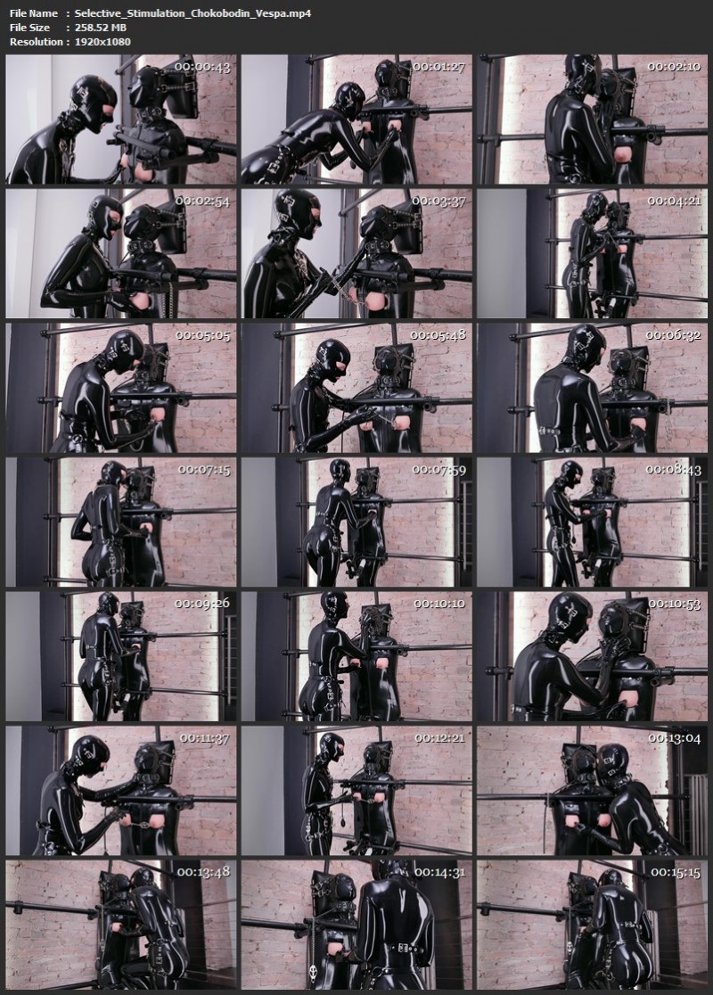 Selective Stimulation - Chokobodin, Vespa. 02.02.2026. ReflectiveDesire (258 Mb)