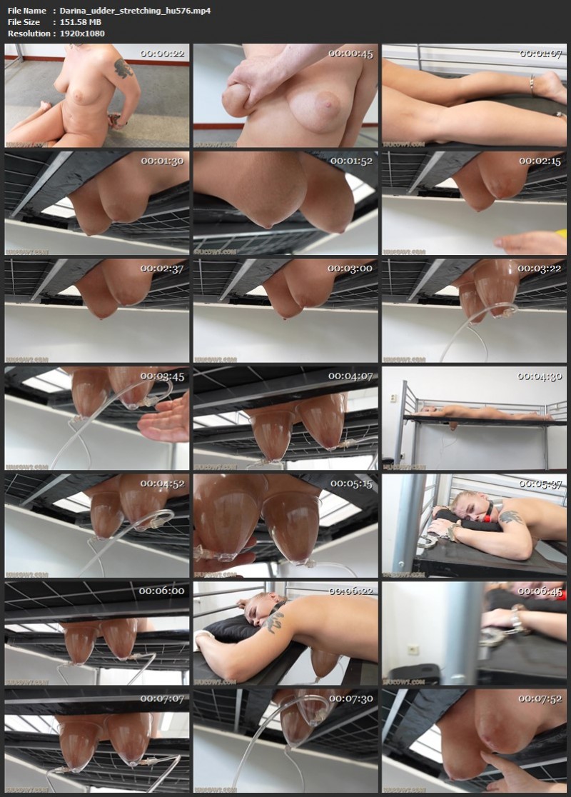 Darina – udder stretching (hu576). 03 Jan 2026. HuCows.com (151 Mb)