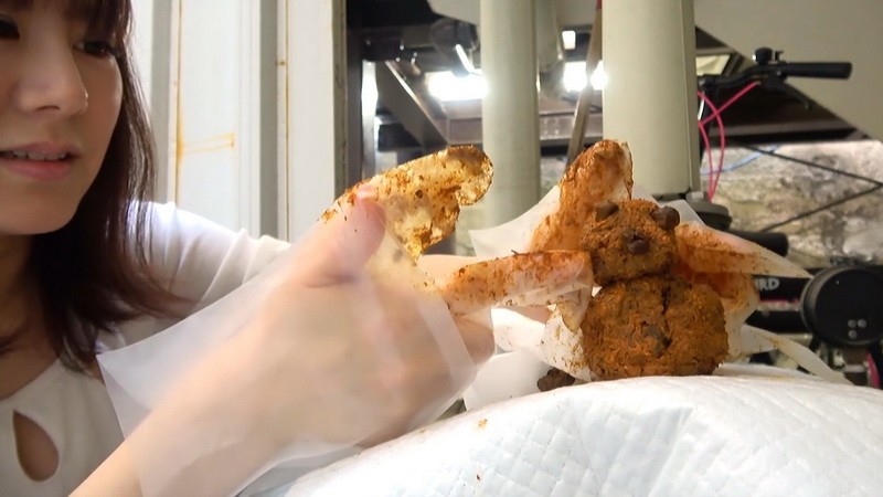 Inoue Poops And Crafts - JP Fetish (547 Mb)