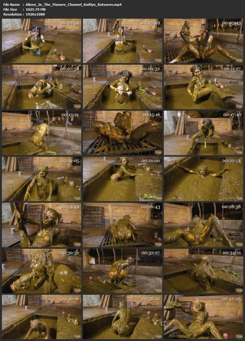 Aliens In The Manure Channel - Kaitlyn Katsaros (1025 Mb)