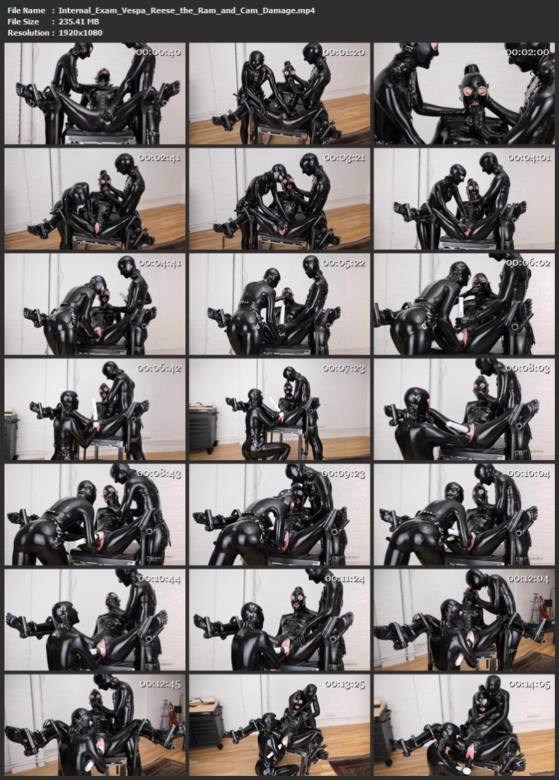 Internal Exam - Vespa, Reese the Ram and Cam Damage. 03.05.2026 (235 Mb)