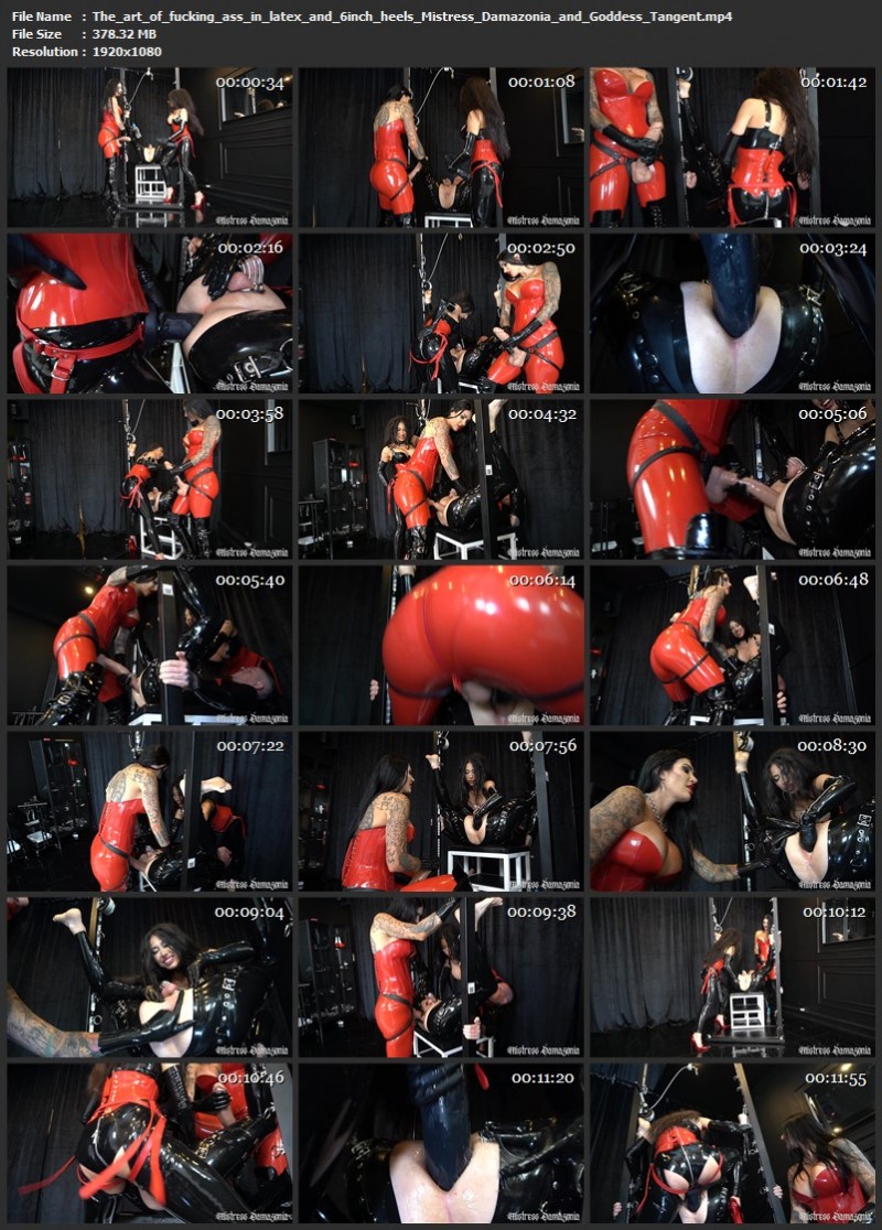 The art of fucking ass in latex and 6inch heels - Mistress Damazonia and Goddess Tangent. 17.05.2026 (378 Mb)