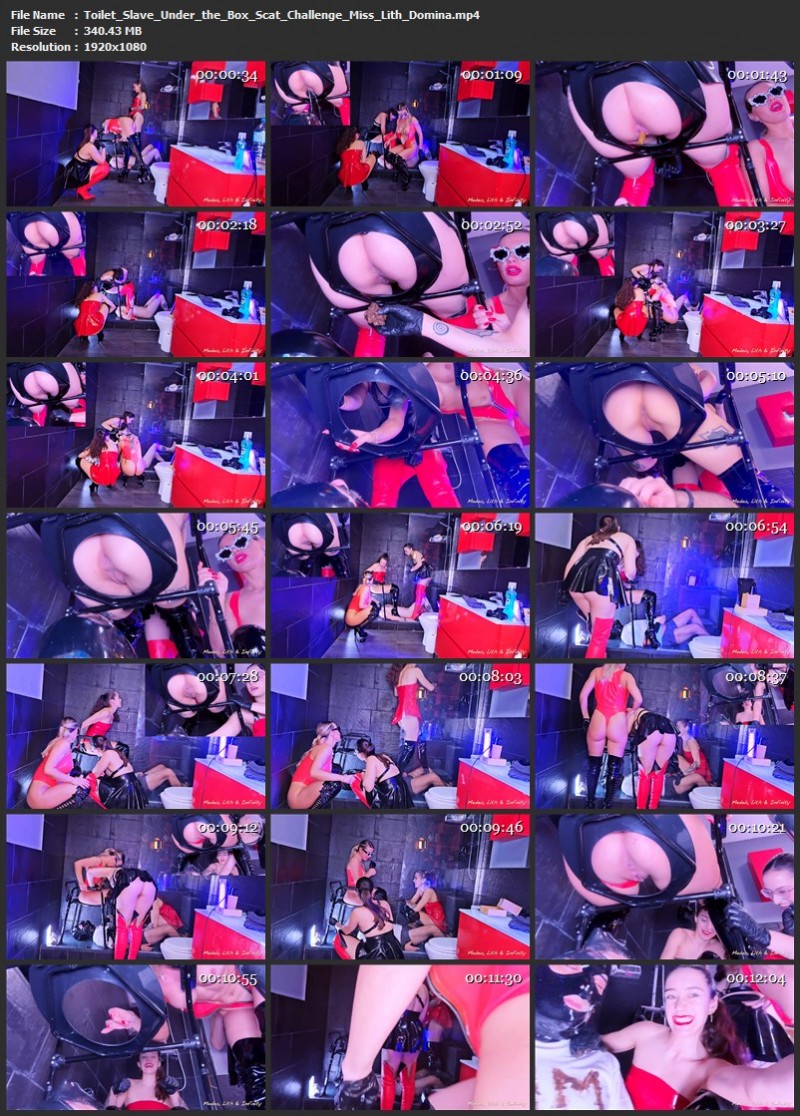 Toilet Slave Under the Box Scat Challenge - Miss Lith Domina (340 Mb)