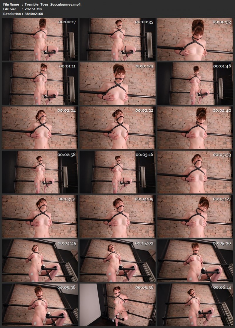 Tremble Toes - Succubunnyy. 02.05.2026 (292 Mb)
