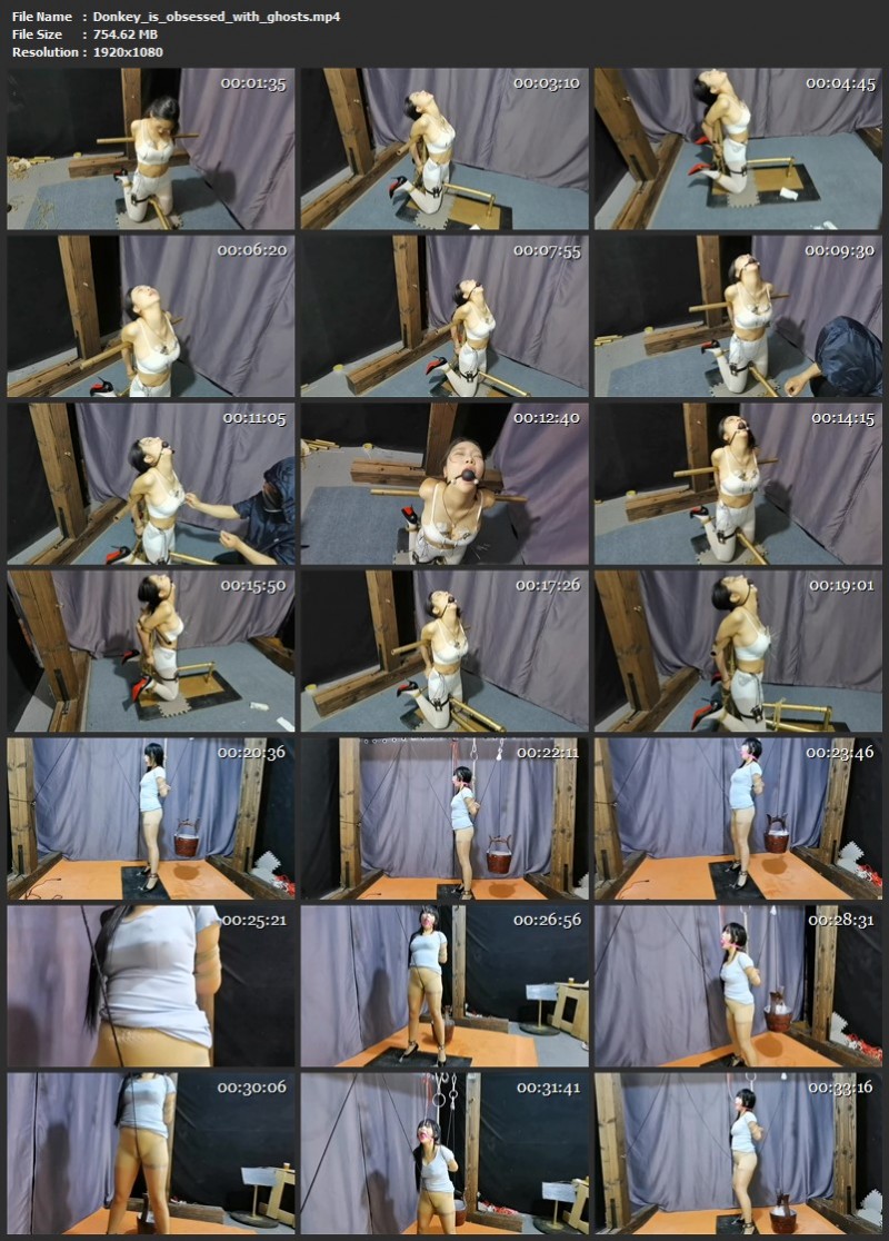 Donkey is obsessed with ghosts (754 Mb)