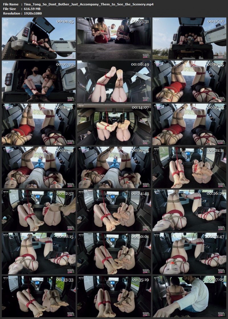 Tina Tong So Don't Bother Just Accompany Them to See the Scenery (616 Mb)